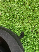 BMW / X1 / Динамик