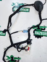 Audi / A5 / Жгут проводов двери