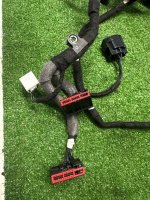 Land Rover / Range Rover Sport / Жгут проводов двери