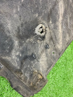 Audi / A5 / Защита днища кузова