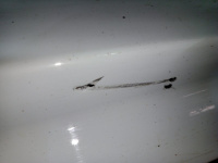 Volkswagen / Touareg / Накладка двери