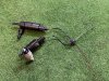 Моторчик омывателя