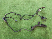 Audi / Q5 / Жгут проводов двери