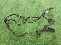 Audi / Q5 / Жгут проводов двери