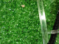 Audi / A6 / Подсветка двери