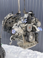 Audi / Q8 / Двигатель