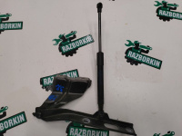 Audi / Q5 / Петля капота