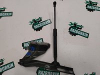 Audi / Q5 / Петля капота