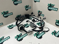 Land Rover / Range Rover Sport / Жгут проводов двери