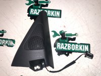 Volkswagen / Tiguan / Уголок зеркала с динамиком