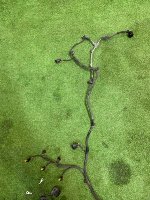 Volkswagen / Touareg / Проводка двигателя