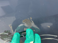 BMW / X5 / Стекло двери