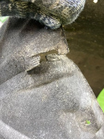 Porsche / Cayenne / Подкрылок