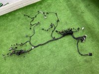 Audi / Q8 / Проводка двигателя