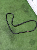 BMW / X3 / Уплотнитель двери