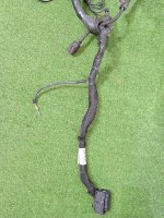 Volkswagen / Touareg / Проводка двигателя Volkswagen / Touareg / Проводка двигателя