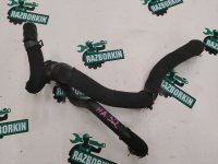 Audi / Q5 / Трубка системы охлаждения