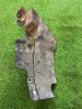 Брызговик