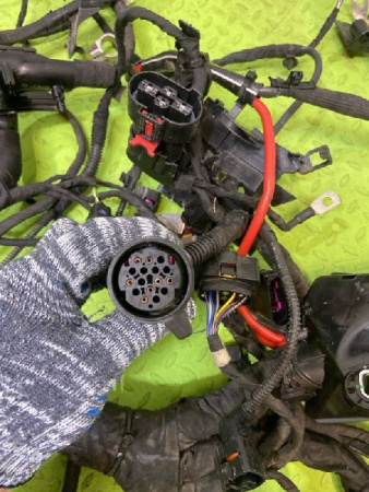 Volkswagen / Tiguan / Жгут проводов моторного отсека