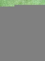 Porsche / Cayenne / Петля капота